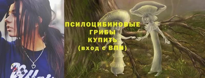 мега вход  Мичуринск  Галлюциногенные грибы MAGIC MUSHROOMS 